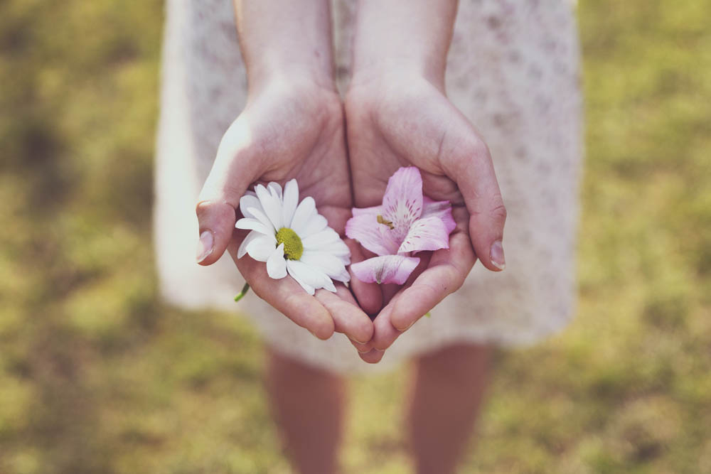 L'amorevole gentilezza | Stefano Manera Blog