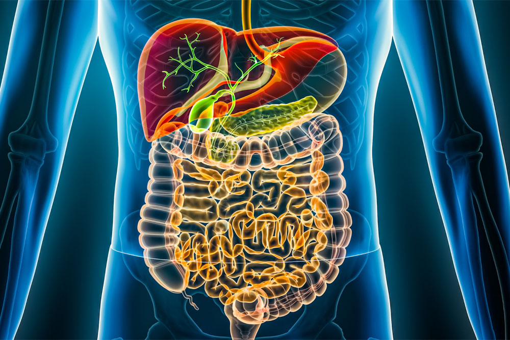 La prevenzione parte dall'intestino | Stefano Manera Blog