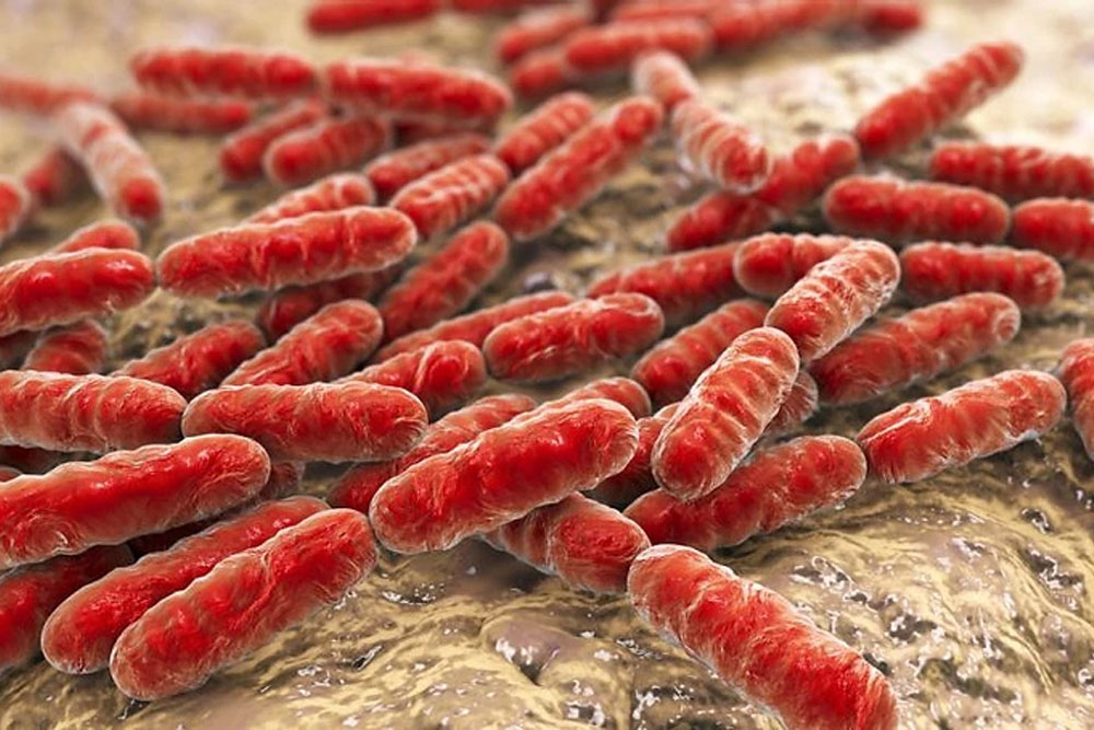 I batteri e la storia del terreno | Stefano Manera Blog